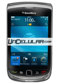 Blackberry 9800 importado